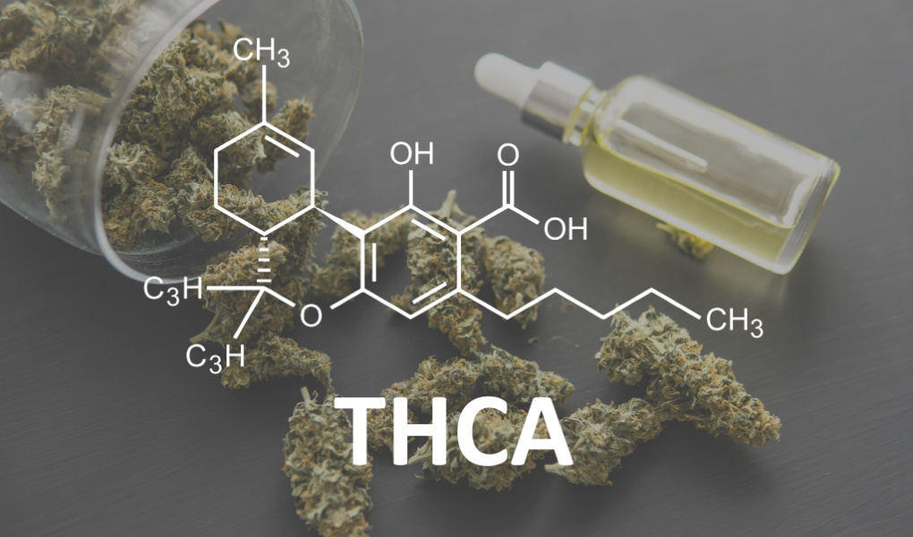 WHAT IS THCA AND HOW IS IT DIFFERENT FROM THC? - No Cap